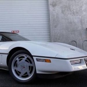 Meet your Posher, Damien